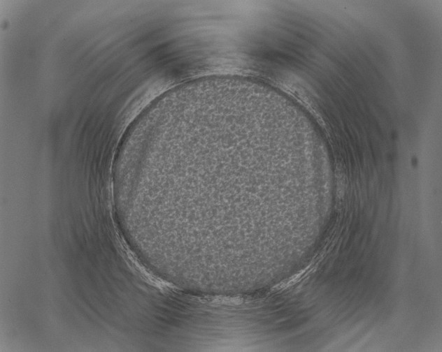 X0000062140890200601060920