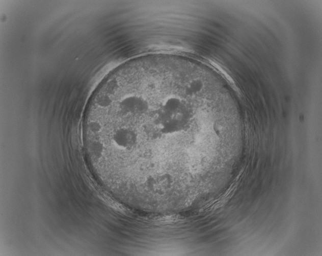 X0000062140891200601060920