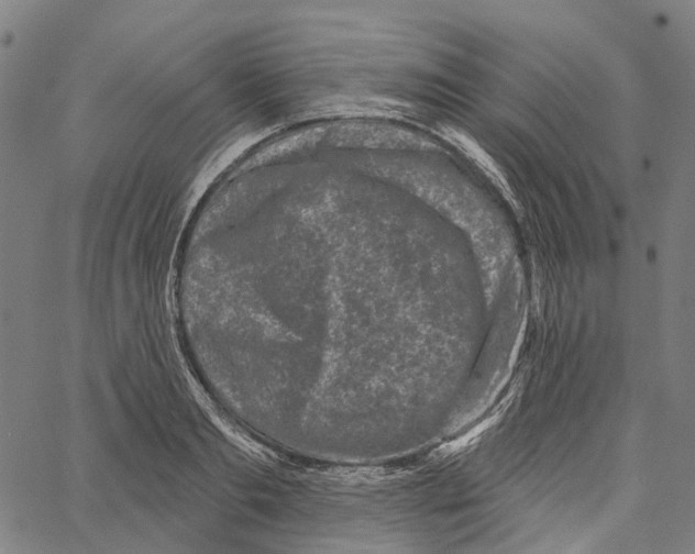 X0000062140893200601060920