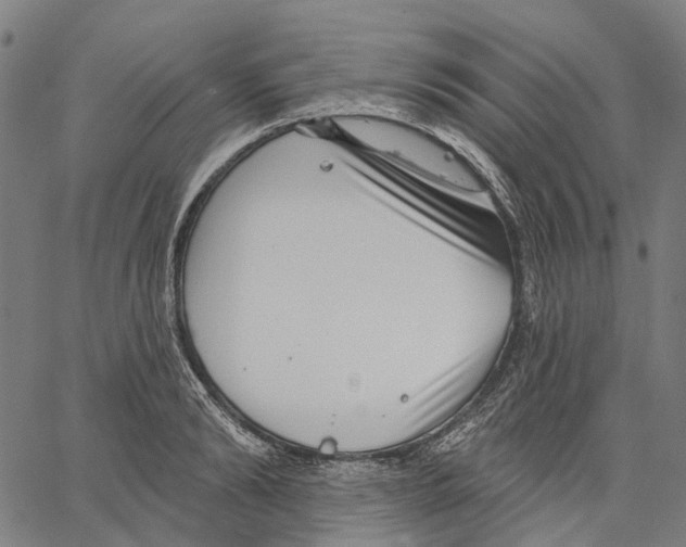 X0000062140894200601060920