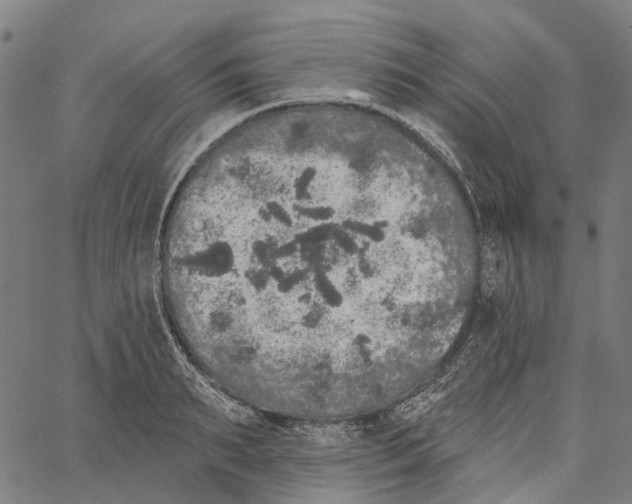 X0000062140895200601060920