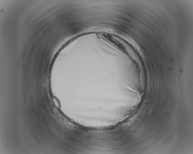 X0000062140896200601060920