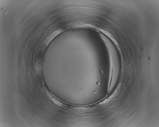 X0000062140897200601060920