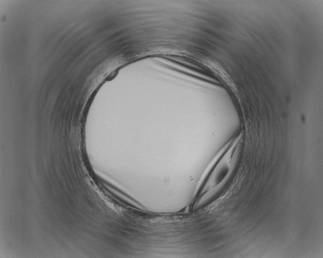 X0000062140898200601060920