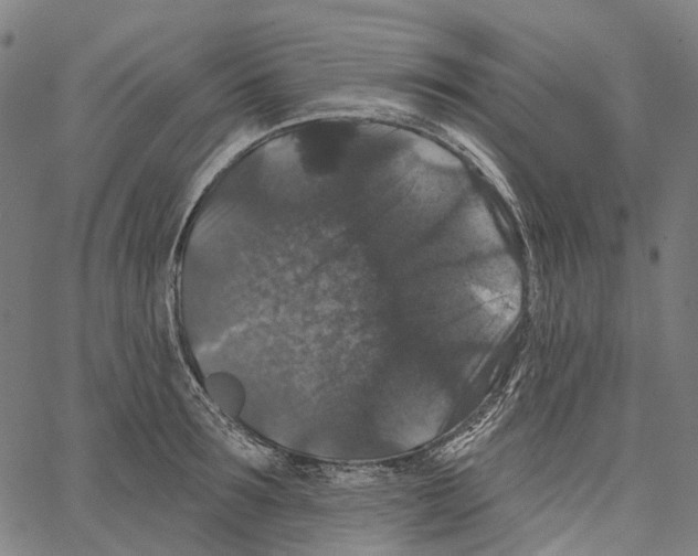 X0000062140899200601060920