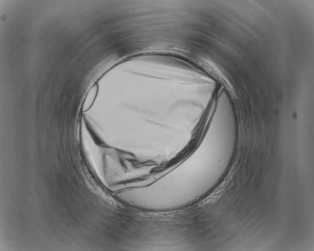 X0000062140900200601060920