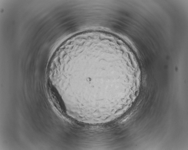 X0000062140903200601060920