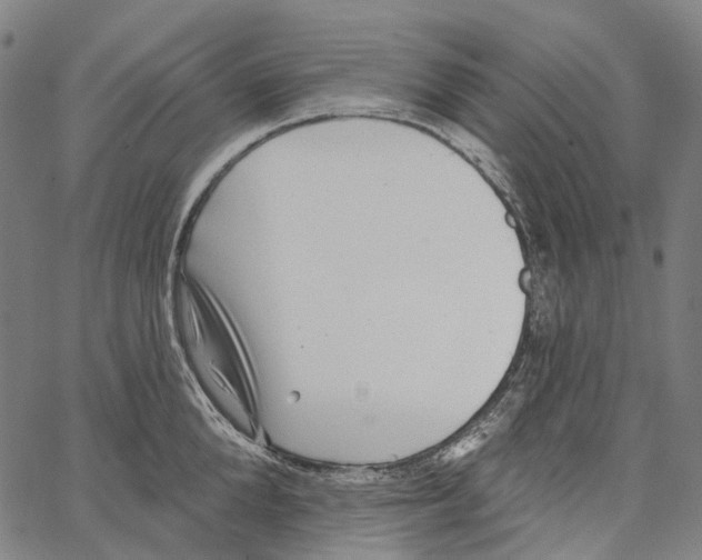 X0000062140904200601060920