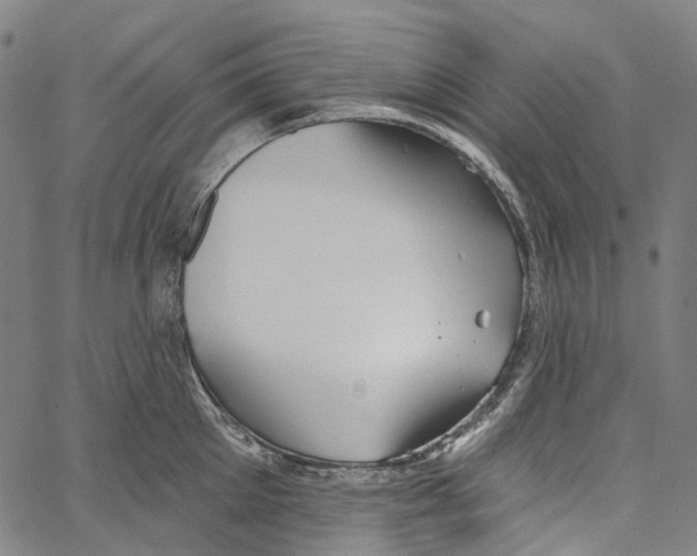 X0000062140905200601060920