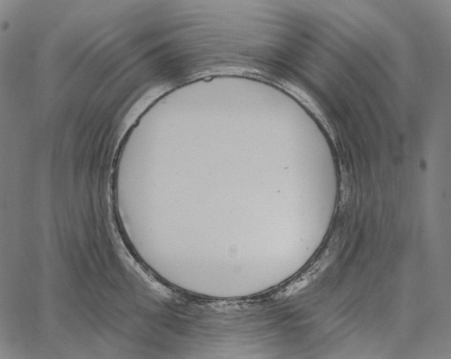 X0000062140906200601060920