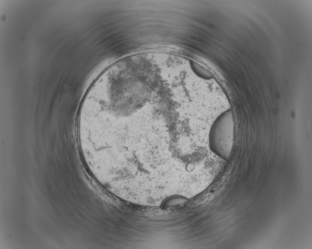 X0000062140907200601060920