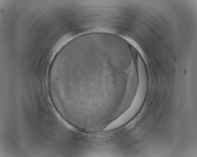 X0000062140910200601060920