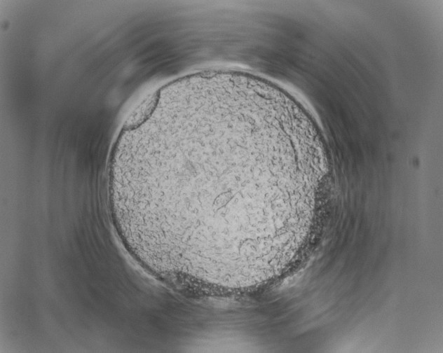 X0000062140911200601060920