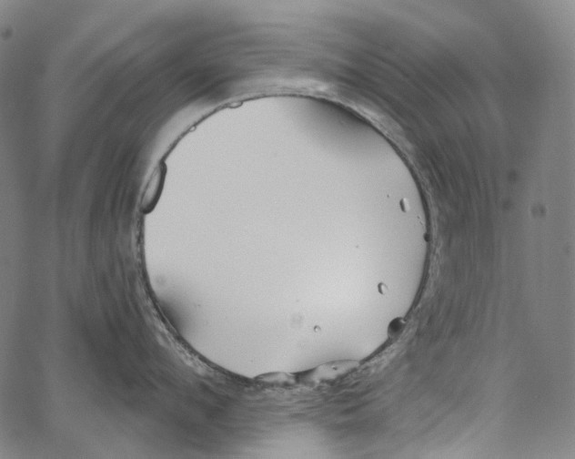 X0000062140912200601060920