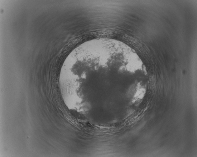 X0000062140913200601060919