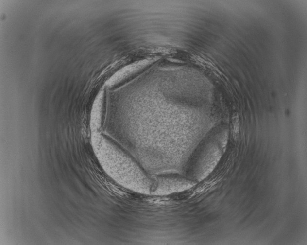 X0000062140916200601060919