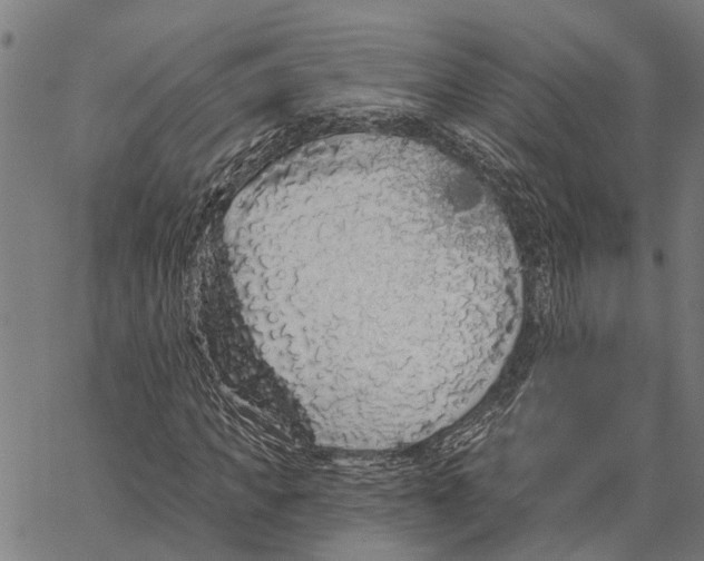 X0000062140917200601060919