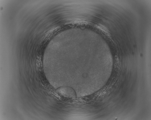 X0000062140918200601060919