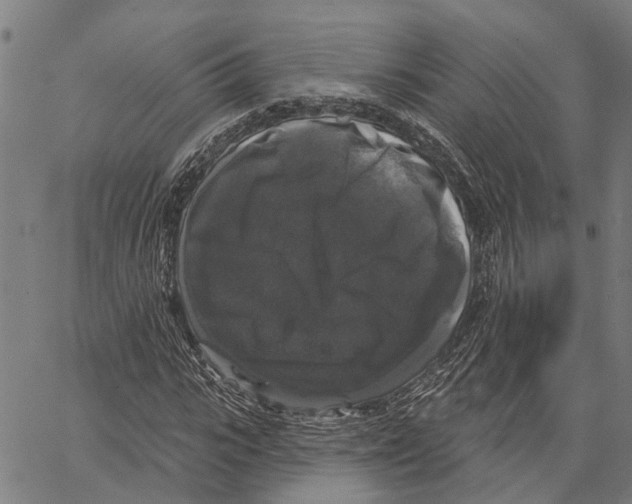 X0000062140919200601060919