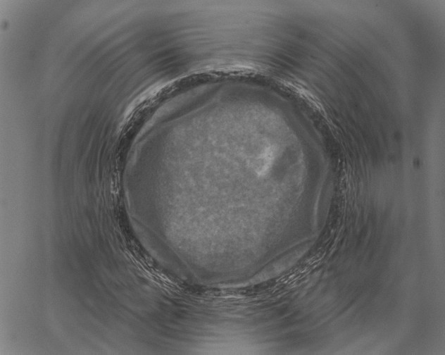 X0000062140920200601060919