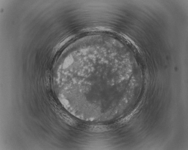 X0000062140921200601060919