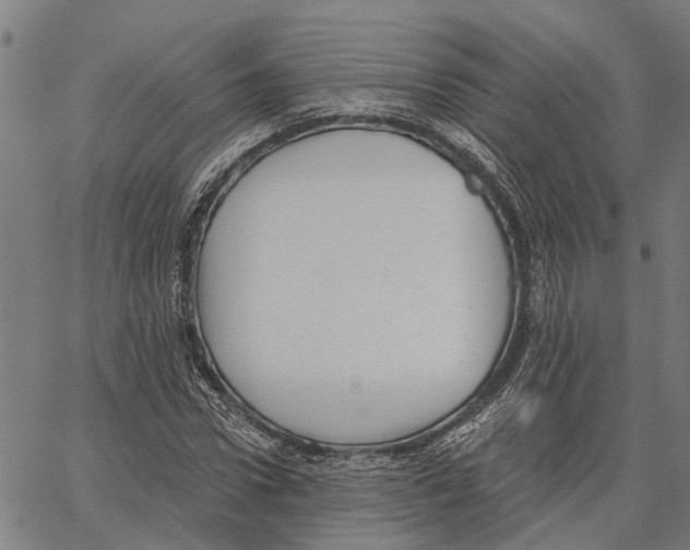 X0000062140922200601060919