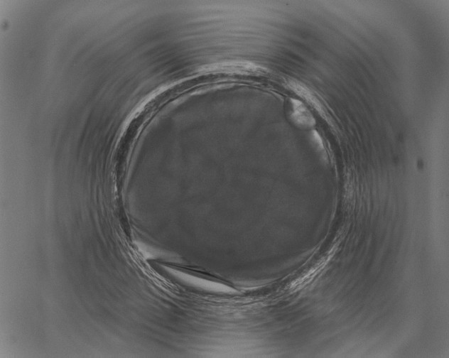 X0000062140923200601060919