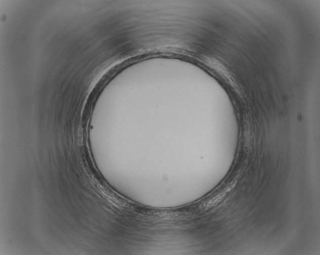 X0000062140924200601060919