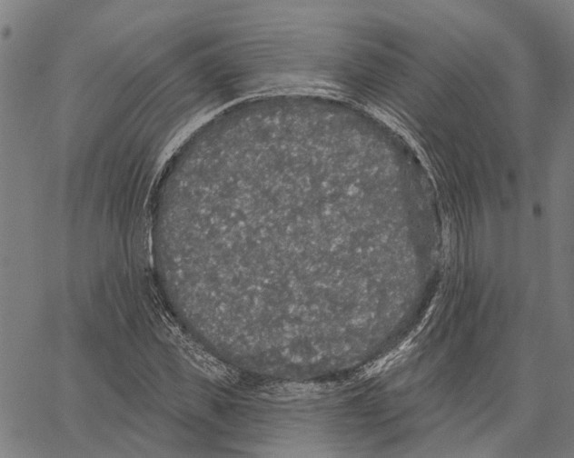 X0000062140925200601060919