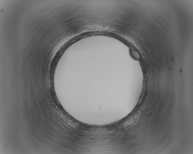 X0000062140927200601060919