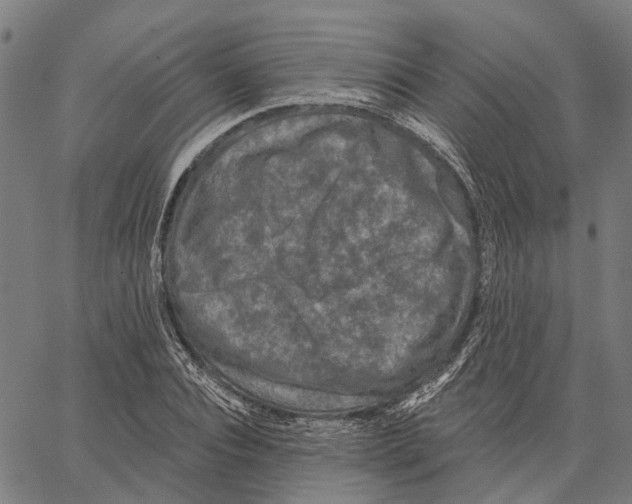 X0000062140928200601060919