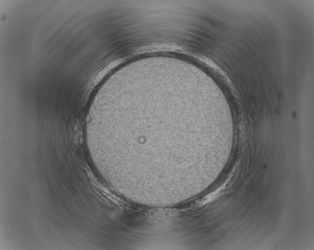 X0000062140929200601060919