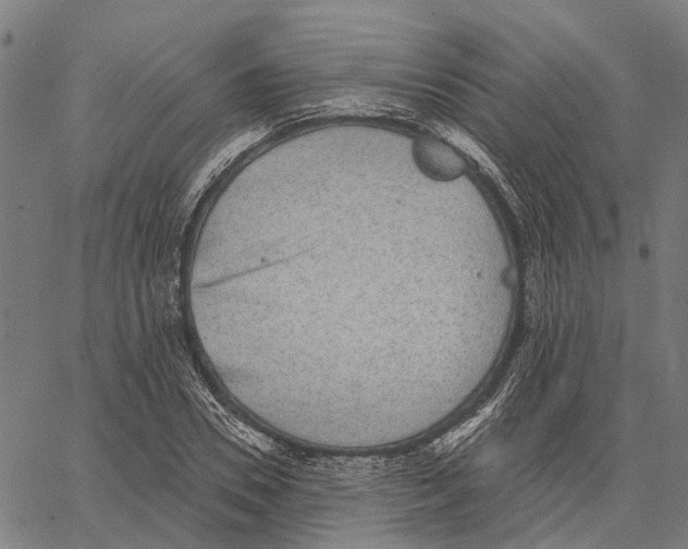 X0000062140930200601060919