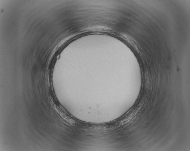 X0000062140931200601060919