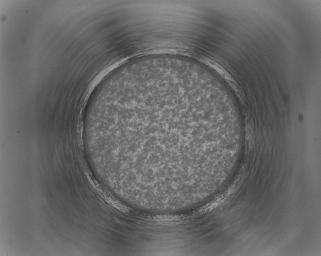 X0000062140933200601060919