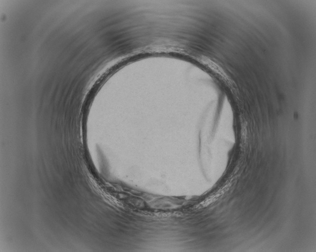 X0000062140934200601060919