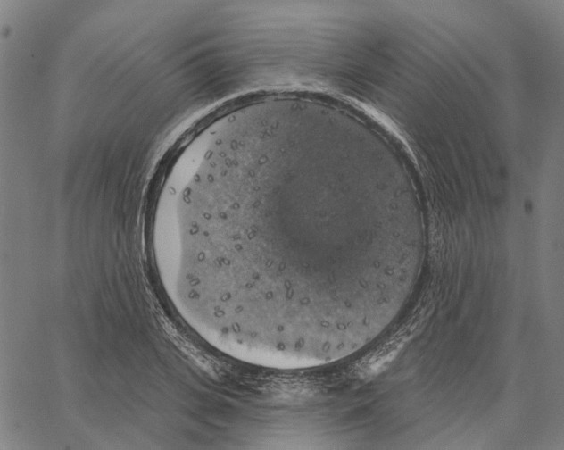 X0000062140935200601060919