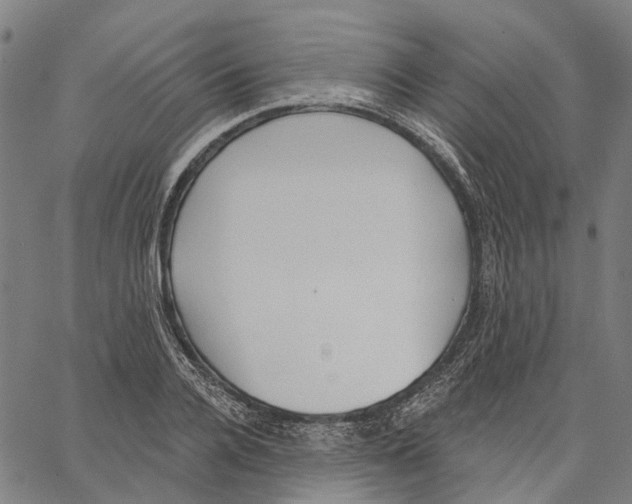 X0000062140936200601060919