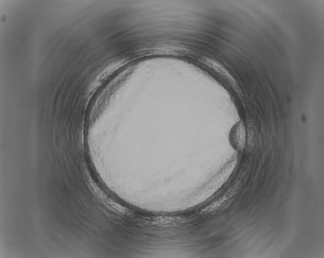 X0000062140938200601060919