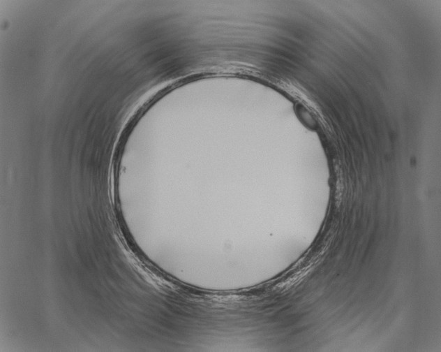 X0000062140940200601060919