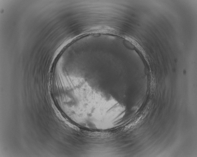 X0000062140941200601060919