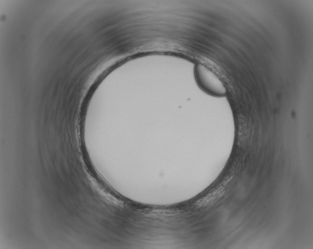 X0000062140942200601060919