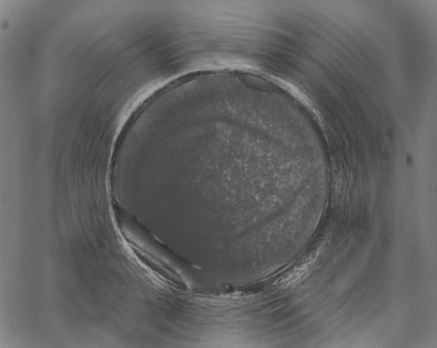 X0000062140943200601060919