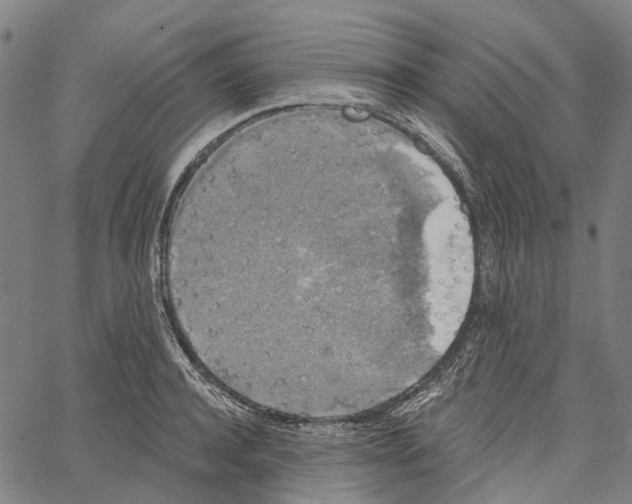 X0000062140944200601060919