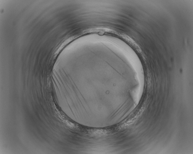 X0000062140945200601060919