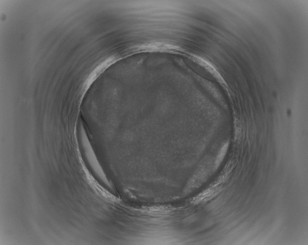 X0000062140946200601060920