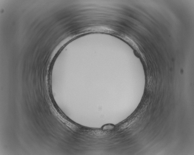 X0000062140947200601060920