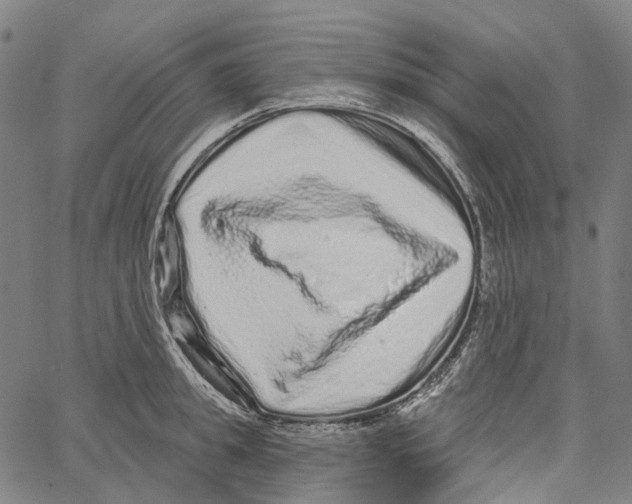 X0000062140949200601060920