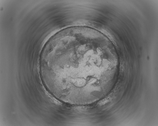 X0000062140950200601060920