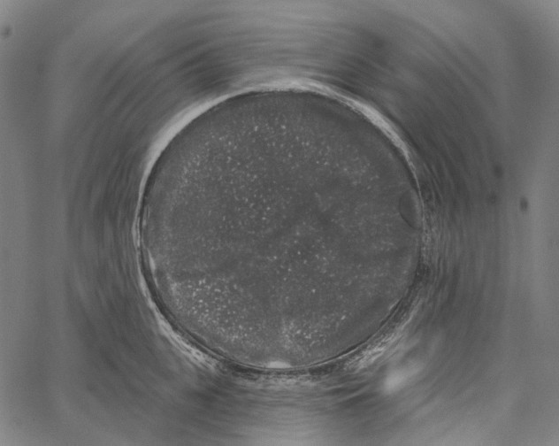 X0000062140951200601060920